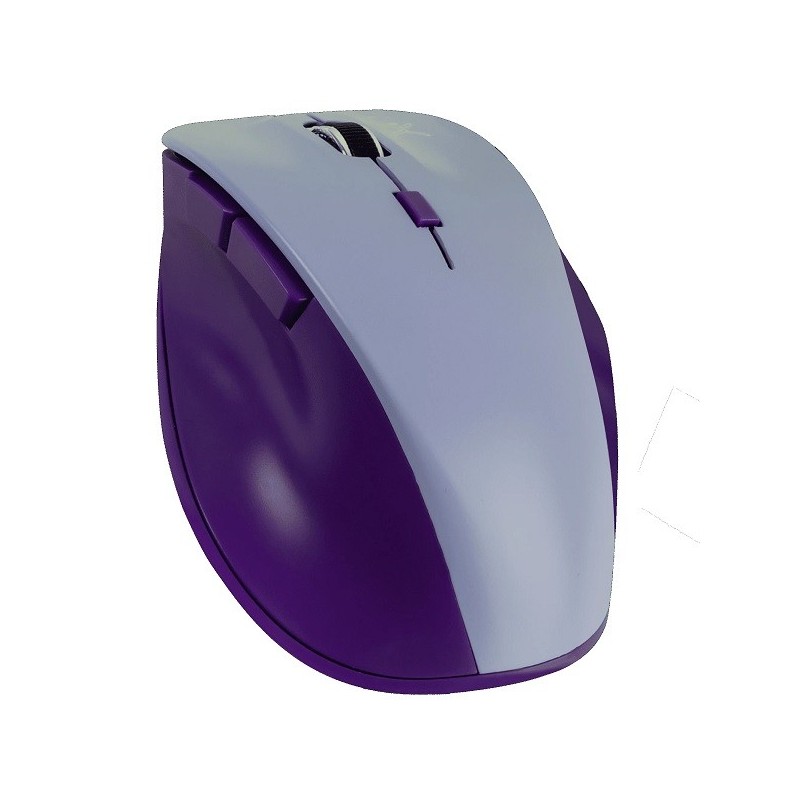 Mouse  PERFECT CHOICE PC-045106