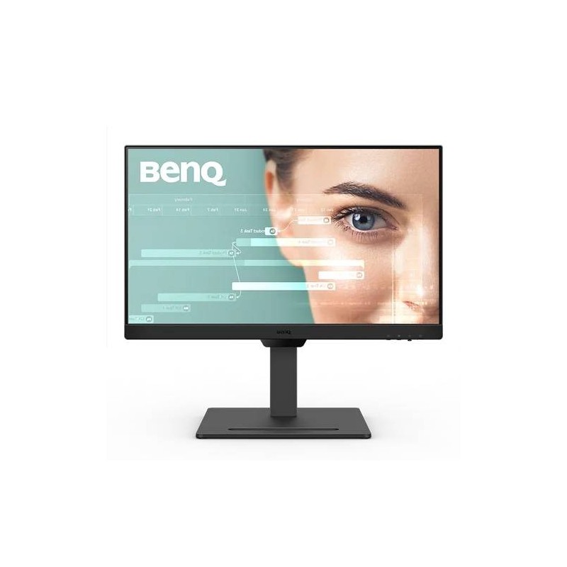 Monitor BENQ GW2490T