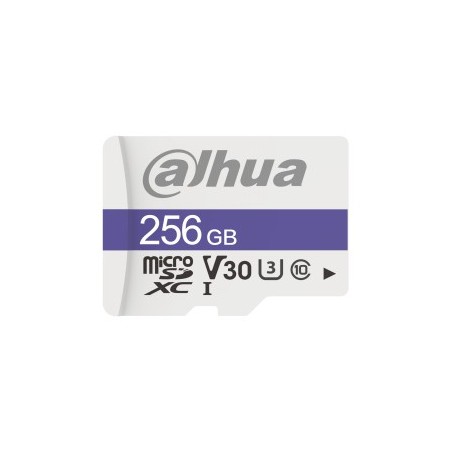 Memoria MicroSD Dahua Technology DHI-TF-C100 256GB