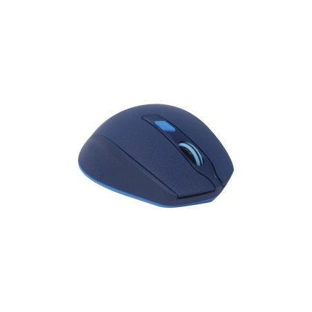 Mouse Naceb Technology NA-0119A