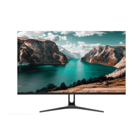 Monitor  LANIX LX215