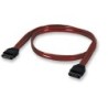 Cable SATA MANHATTAN 340700