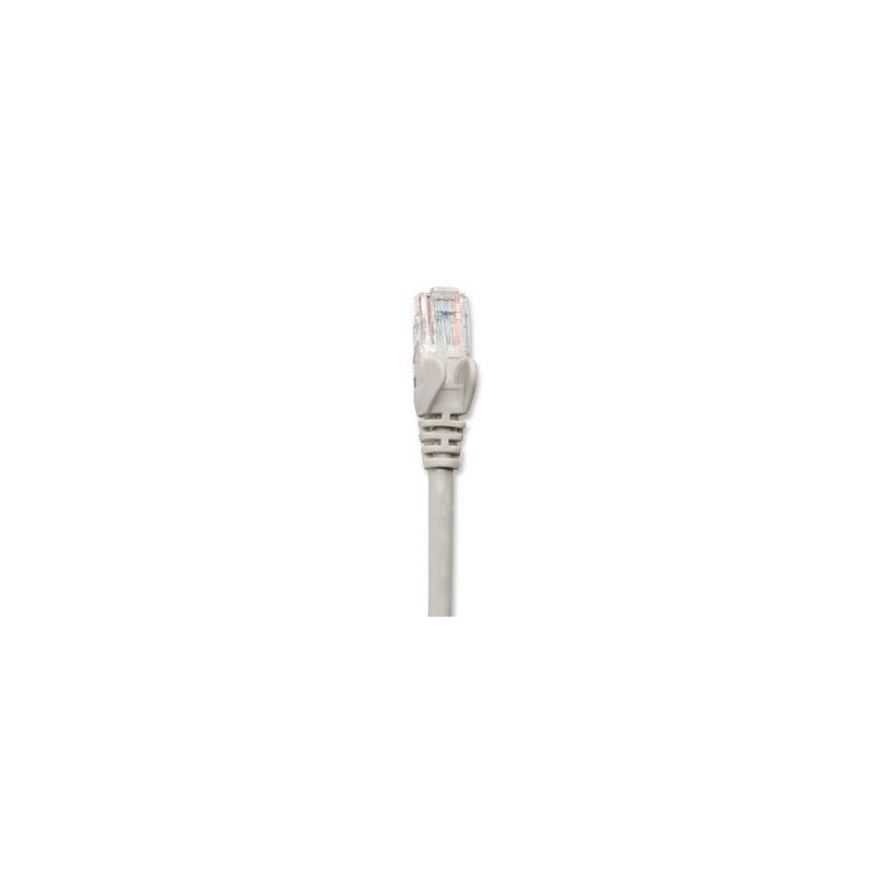 Cable de Red Cat6 INTELLINET -