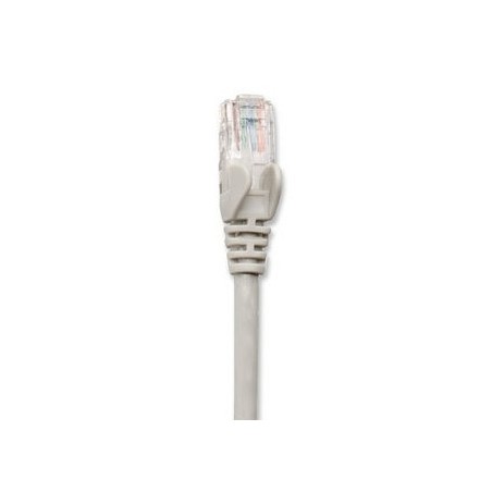 Cable de Red Cat6 INTELLINET -