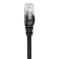 Cable de Red INTELLINET 342070