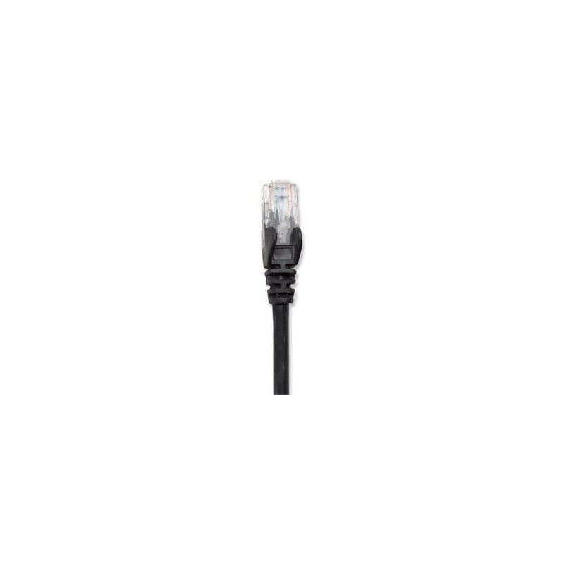 Cable de Red INTELLINET 342070