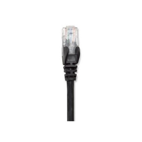 Cable de Red INTELLINET 342070