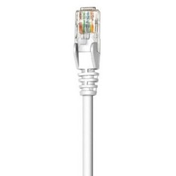 Cable de Red INTELLINET 341936