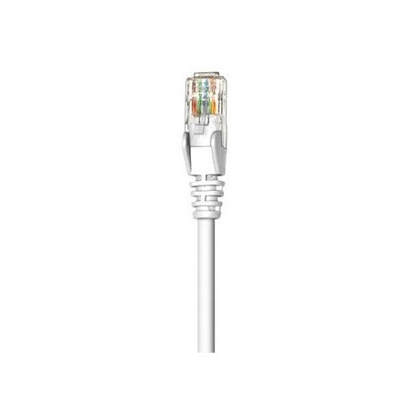 Cable de Red INTELLINET 341936