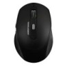 Mouse  PERFECT CHOICE PC-045144