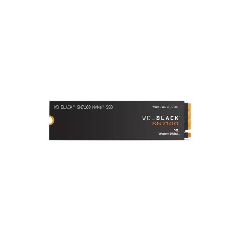 SSD SANDISK WDS100T4X0E