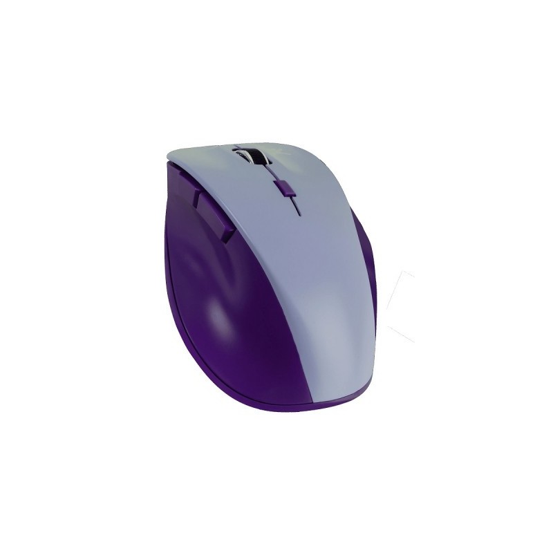 Mouse  PERFECT CHOICE PC-045106