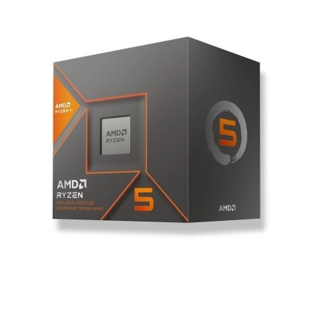 AMD AMD RYZEN 5 
